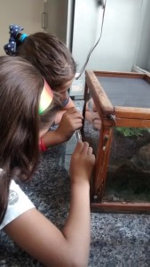 IMG_20150417_140037102