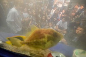 A vida marinha ao vivo proporcionou em uma aula diferente sobre ecologia, preservação ambiental, Biologia e cuidado com o planeta e a vida.