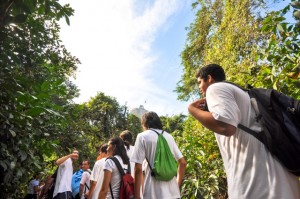 Em algumas partes do percurso da trilha, o bondinho do Pão de Açúcar é avistado "flutuando" sobre a mata.