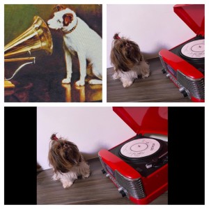 WhatsApp Image 2020-05-14 at 13.10.43 (1)